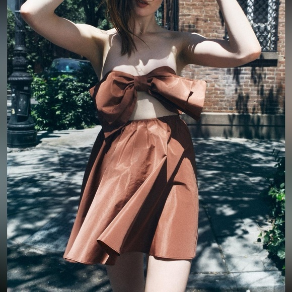 Zara Brown Strapless Dress - Picture 5 of 5